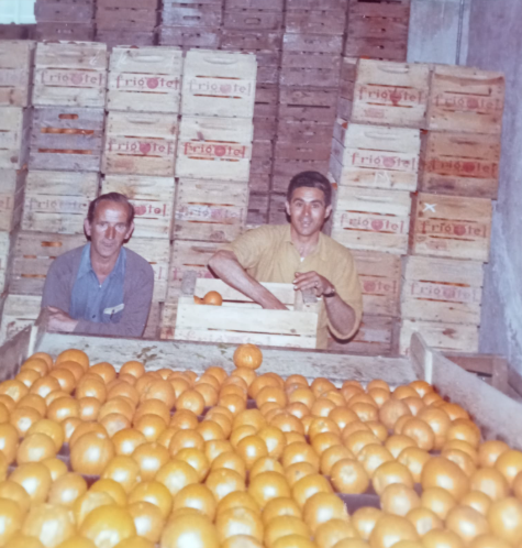 Fotografía histórica original: dos hombres de la familia en el almacén de naranjas