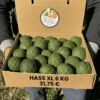 6 Kg Aguacate Hass XL (4–9 Unidades por Kg) 2 6 Kg Aguacate Hass XL (4–9 Unidades por Kg)