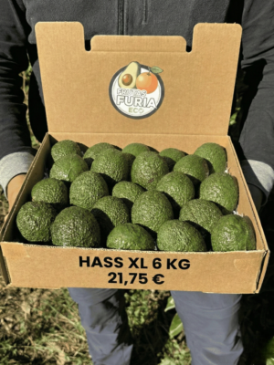 6 Kg Aguacate Hass XL  (4–9 Unidades por Kg)