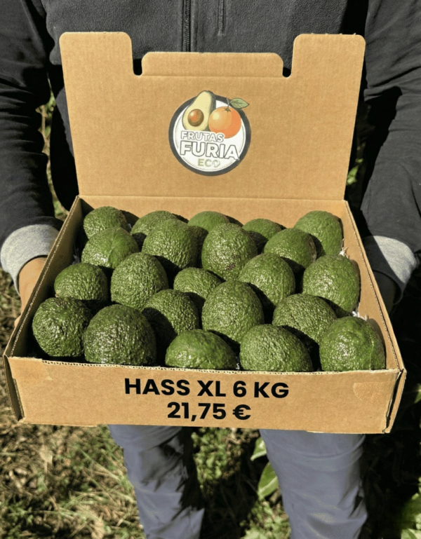 6 Kg Aguacate Hass XL (4–9 Unidades por Kg) 1 6 Kg Aguacate Hass XL (4–9 Unidades por Kg)