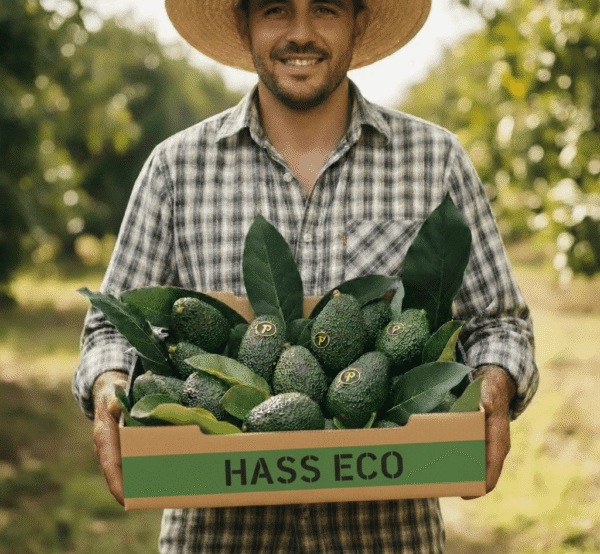 aguacates ecologicos online