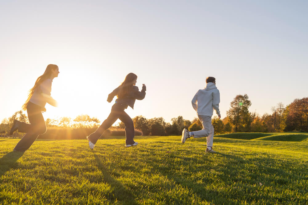 Propósito 3 aguacate comprar online