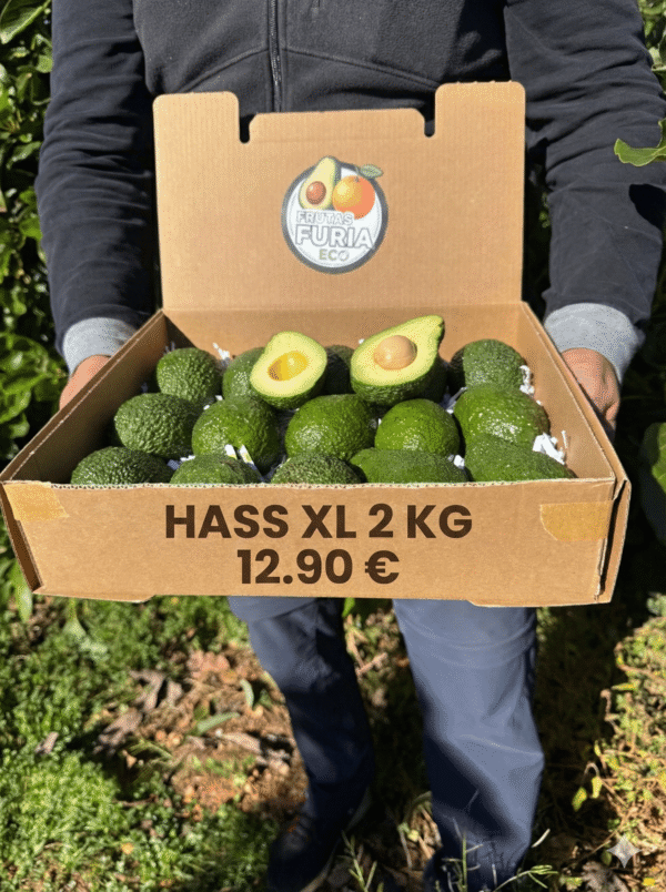 comprar aguacates ecologicos
