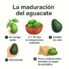 maduracion del aguacate maduracion del aguacate