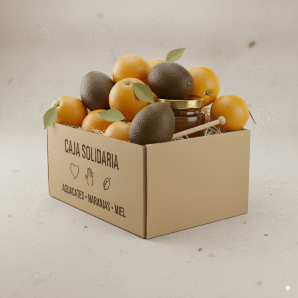 Caja solidaria grande frutas furia