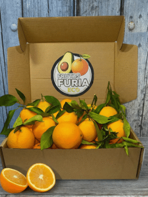 Comprar Naranjas de Mesa Comprar Naranjas de Mesa