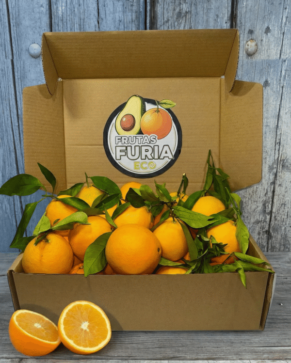 Comprar Naranjas de Mesa Comprar Naranjas de Mesa