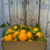 Comprar Naranjas de Mesa Comprar Naranjas de Mesa