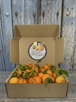 Comprar Naranjas de Mesa