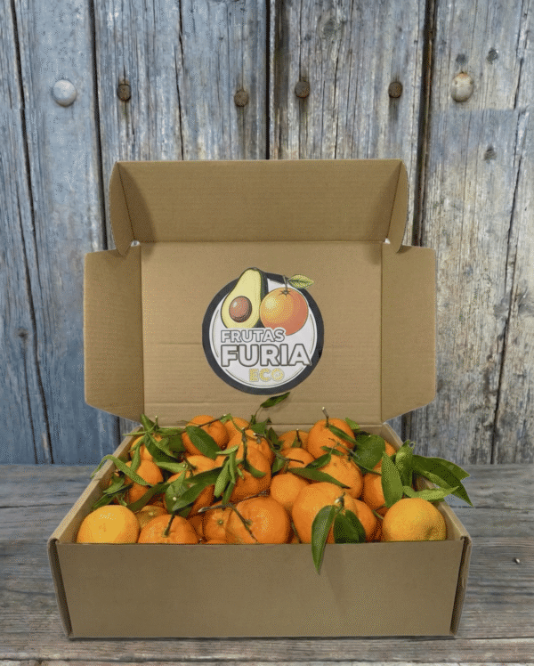 Comprar Naranjas de Mesa Comprar Naranjas de Mesa