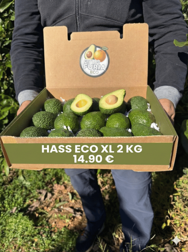 aguacate ecologico aguacate ecologico