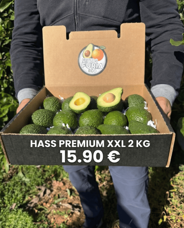 aguacate hass características
