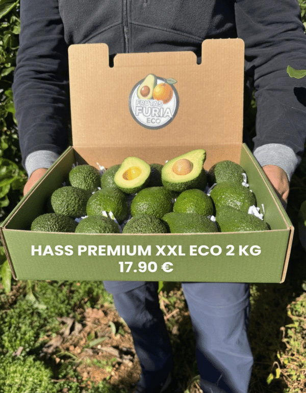 aguacate hass características