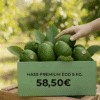 aguacates ecologicos online