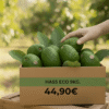 aguacates ecologicos online