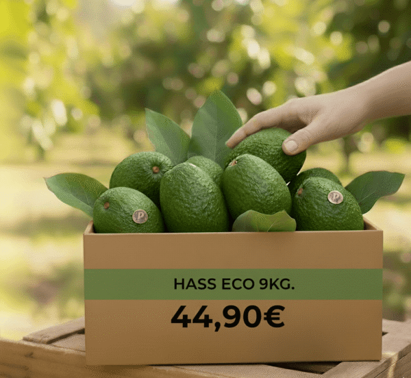 aguacates ecologicos online