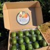 caja solidaria aguacates ecologicos
