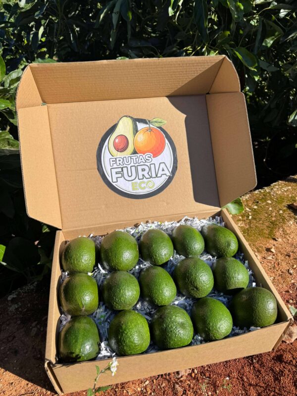 caja solidaria aguacates ecologicos