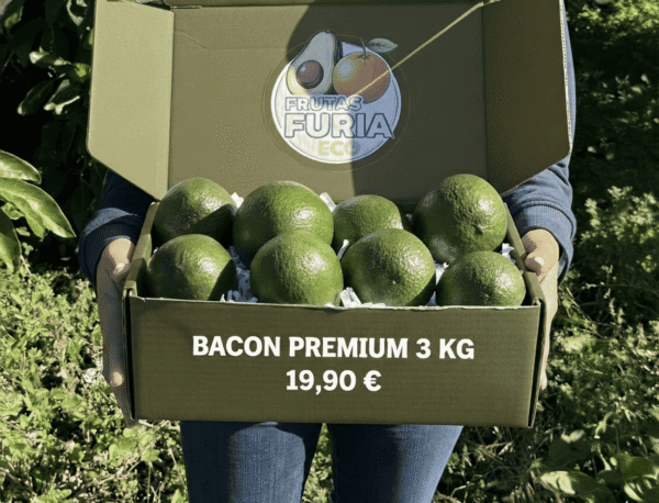 comprar aguacates online comprar aguacates online