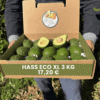 comprar aguacates online comprar aguacates online