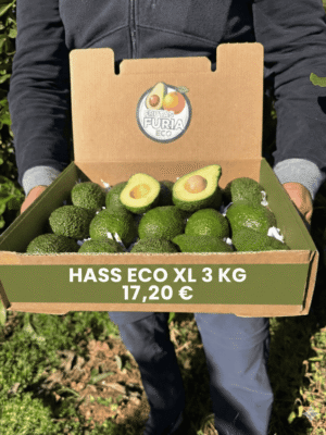 comprar aguacates online comprar aguacates online