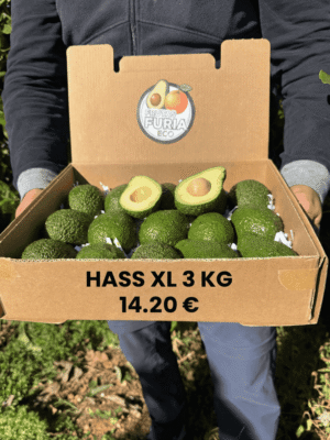 comprar aguacates online comprar aguacates online