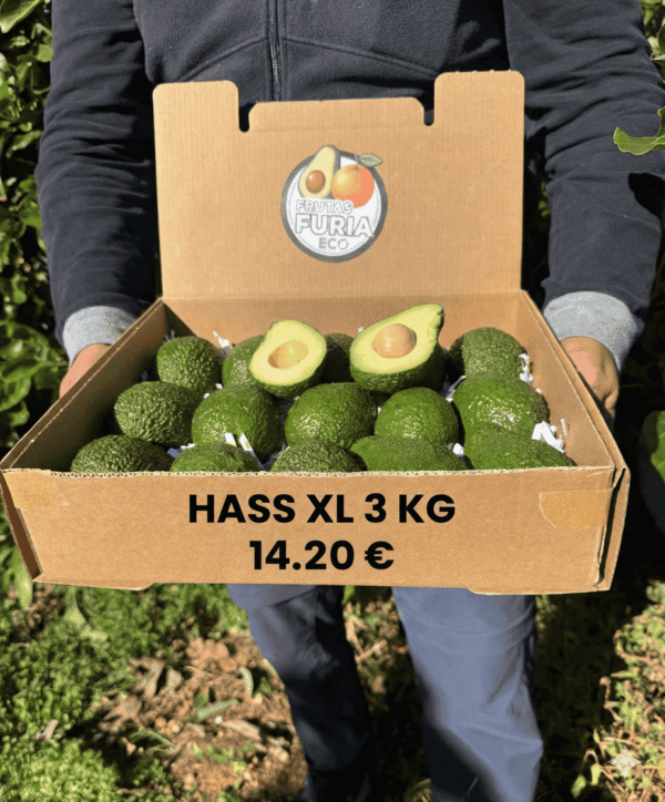 comprar aguacates online