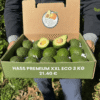 comprar aguacates online comprar aguacates online