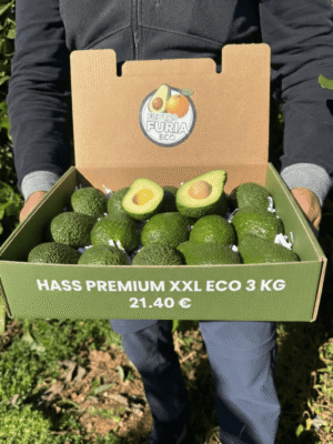 comprar aguacates online comprar aguacates online