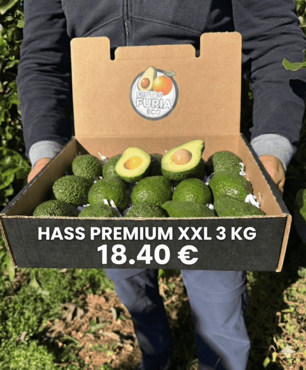 comprar aguacates online comprar aguacates online