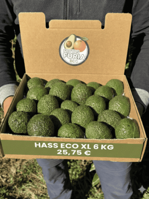 comprar aguacates online comprar aguacates online