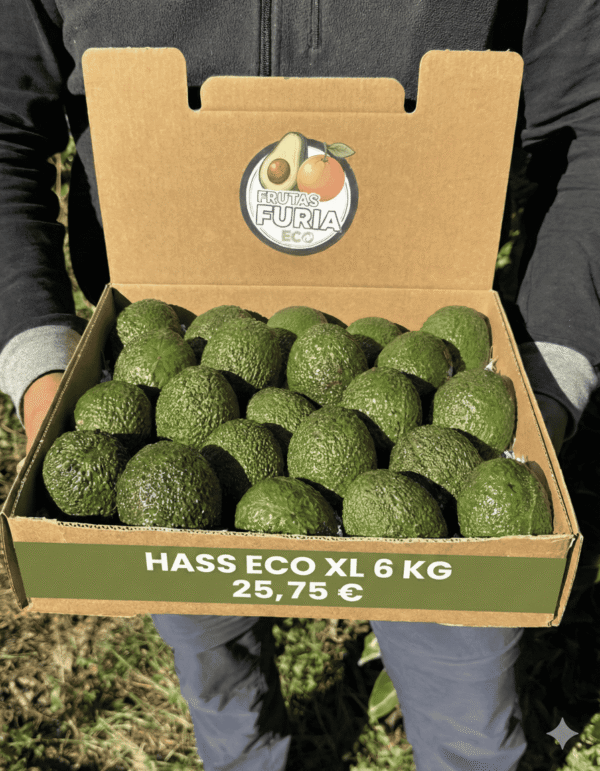 comprar aguacates online comprar aguacates online
