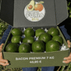 comprar aguacates online comprar aguacates online