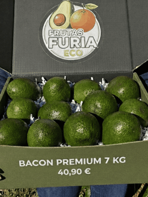 comprar aguacates online comprar aguacates online