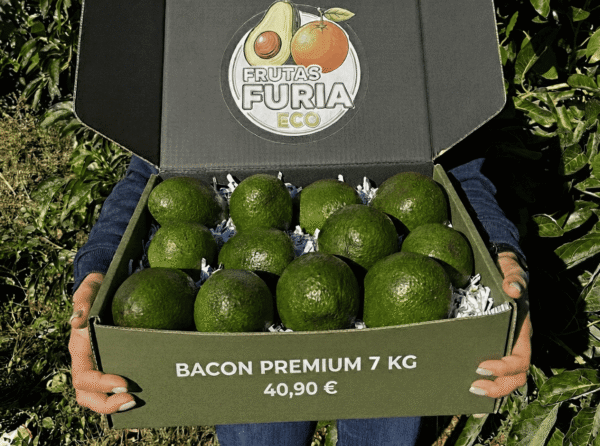 comprar aguacates online comprar aguacates online
