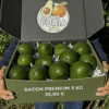 comprar aguacates online comprar aguacates online