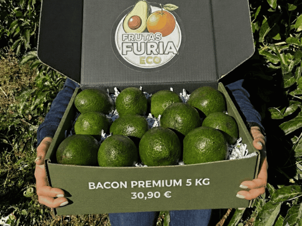 comprar aguacates online comprar aguacates online