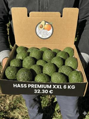 comprar aguacates online