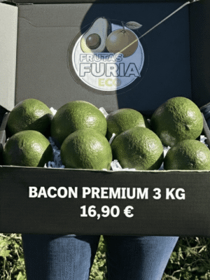 comprar aguacates online comprar aguacates online