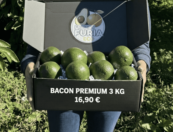 comprar aguacates online
