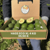 comprar aguacates online comprar aguacates online