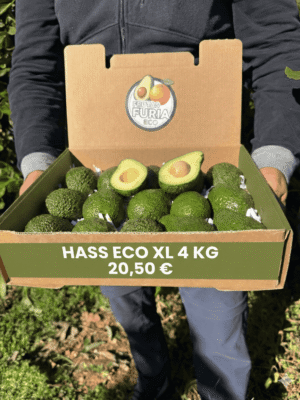 comprar aguacates online comprar aguacates online