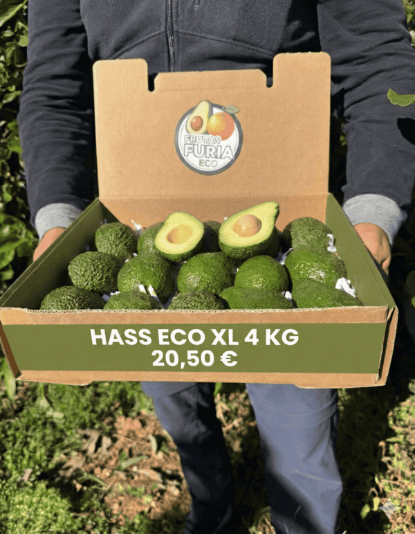 comprar aguacates online comprar aguacates online
