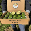 comprar aguacates online