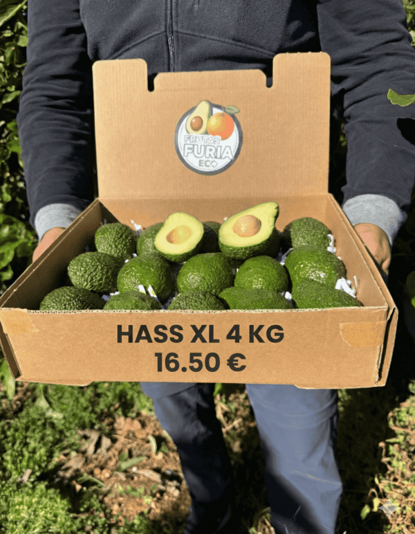comprar aguacates online