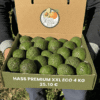 comprar aguacates online comprar aguacates online