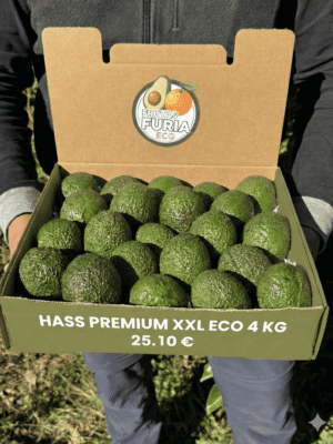 comprar aguacates online comprar aguacates online