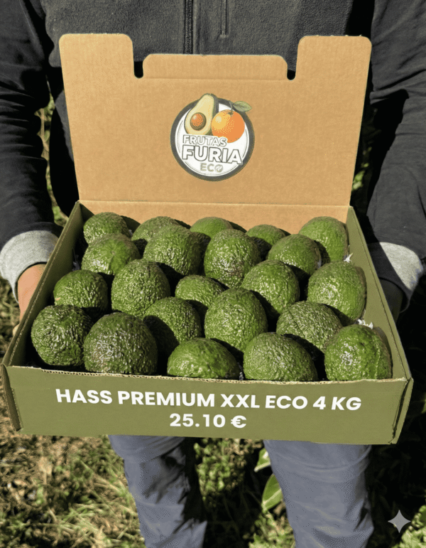 comprar aguacates online comprar aguacates online