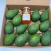 pack aguacate + miel pack aguacate + miel